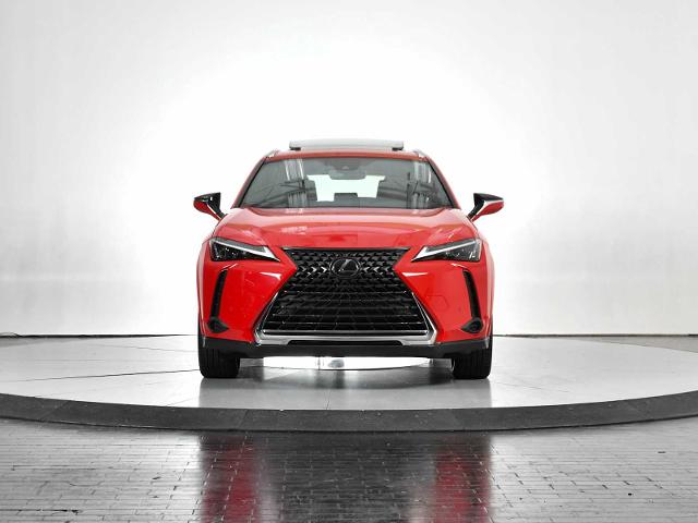 2024 Lexus UX 250h Vehicle Photo in DALLAS, TX 75235