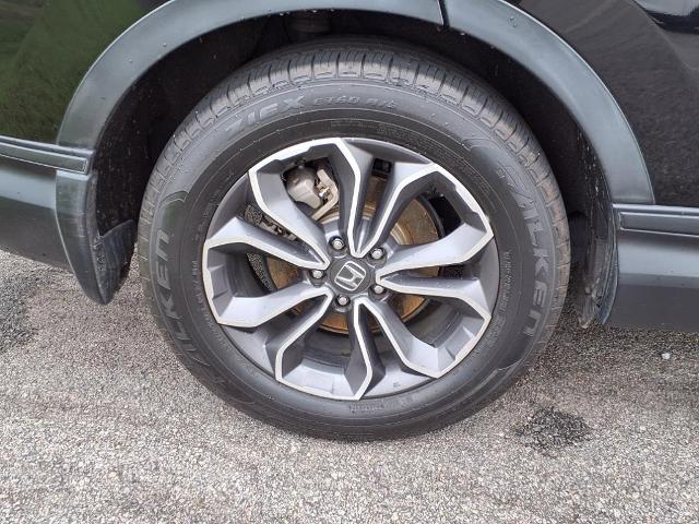 2022 Honda CR-V Vehicle Photo in EMPORIA, VA 23847-1235