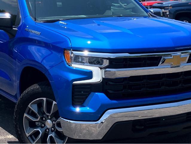 2025 Chevrolet Silverado 1500 Vehicle Photo in BEAUFORT, SC 29906-4218