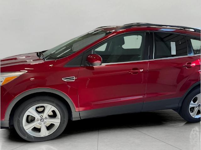 2013 Ford Escape Vehicle Photo in Green Bay, WI 54304