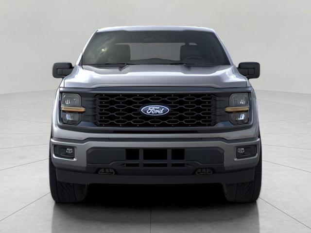 2025 Ford F-150 Vehicle Photo in Oshkosh, WI 54901