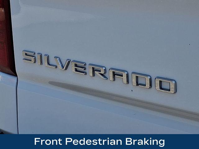 2024 Chevrolet Silverado 1500 Vehicle Photo in PAWLING, NY 12564-3219