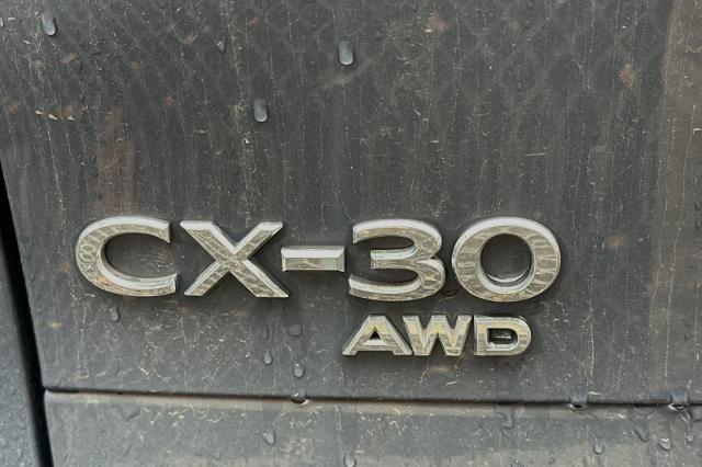 2021 Mazda CX-30 Vehicle Photo in SPOKANE, WA 99202-2191