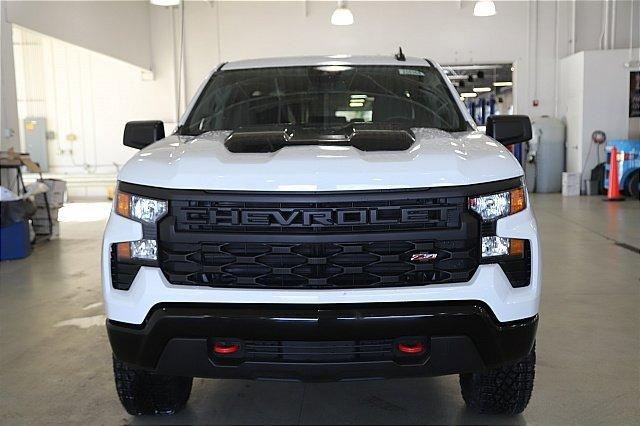 2025 Chevrolet Silverado 1500 Vehicle Photo in MEDINA, OH 44256-9001