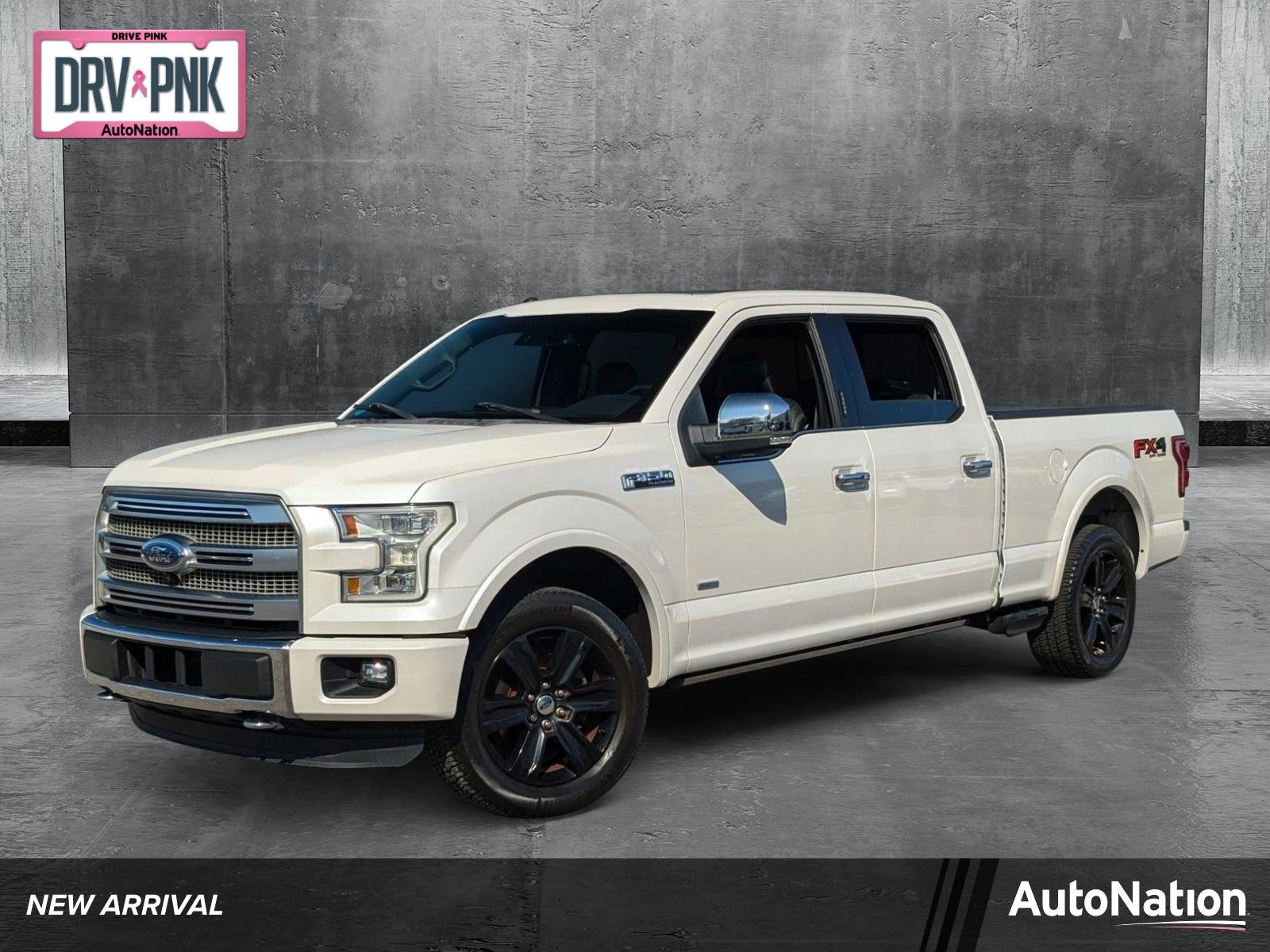 2016 Ford F-150 Vehicle Photo in St. Petersburg, FL 33713