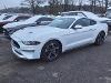 Used 2022 Ford Mustang EcoBoost with VIN 1FA6P8TH0N5106387 for sale in Hartselle, AL