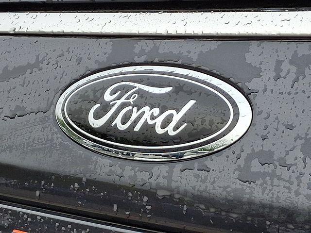2024 Ford Expedition Vehicle Photo in PAWLING, NY 12564-3219