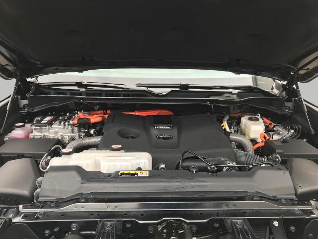 2024 Toyota Sequoia Vehicle Photo in GREEN BAY, WI 54303-3330