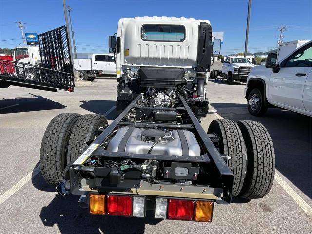 2024 Chevrolet Low Cab Forward 4500 Vehicle Photo in ALCOA, TN 37701-3235