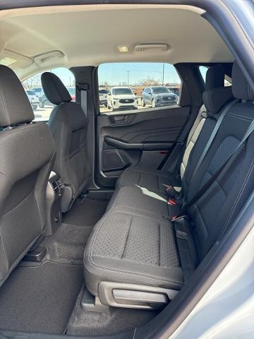 2025 Ford Escape Vehicle Photo in Winslow, AZ 86047-2439