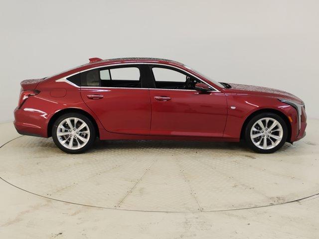 2025 Cadillac CT5 Vehicle Photo in PINEVILLE, NC 28134-8495