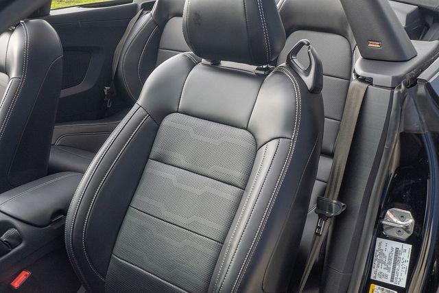 2019 Ford Mustang Vehicle Photo in DANBURY, CT 06810-5034