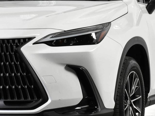 2024 Lexus NX 250 Vehicle Photo in DALLAS, TX 75235