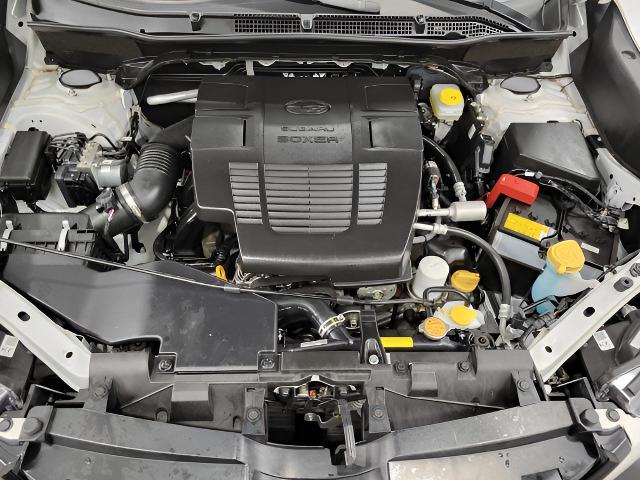2024 Subaru Forester Vehicle Photo in Green Bay, WI 54304