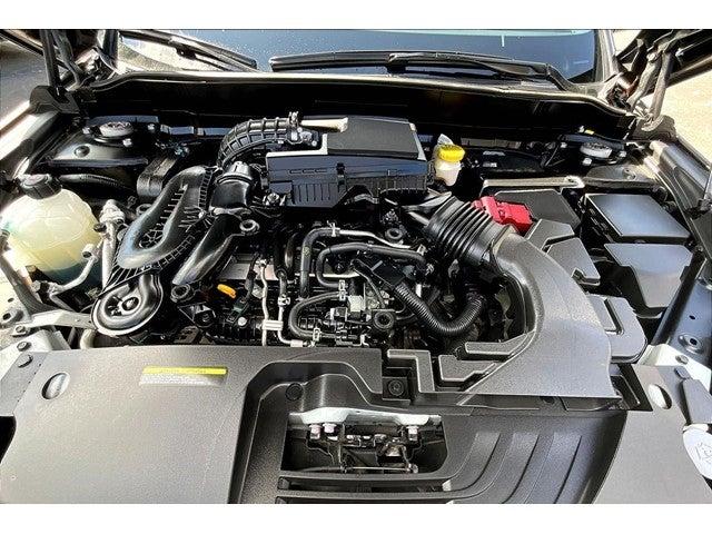 2023 INFINITI QX55 Vehicle Photo in San Antonio, TX 78230