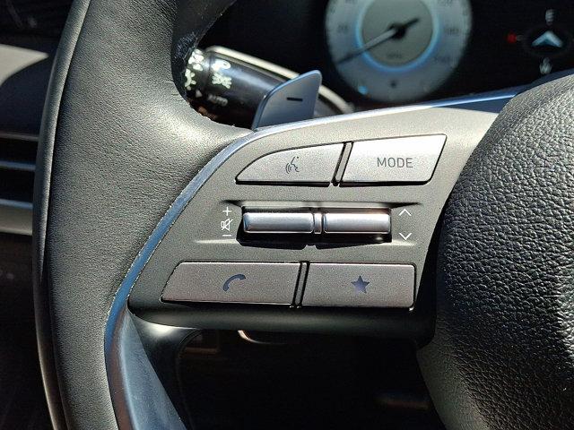 2025 Hyundai PALISADE Vehicle Photo in Philadelphia, PA 19116