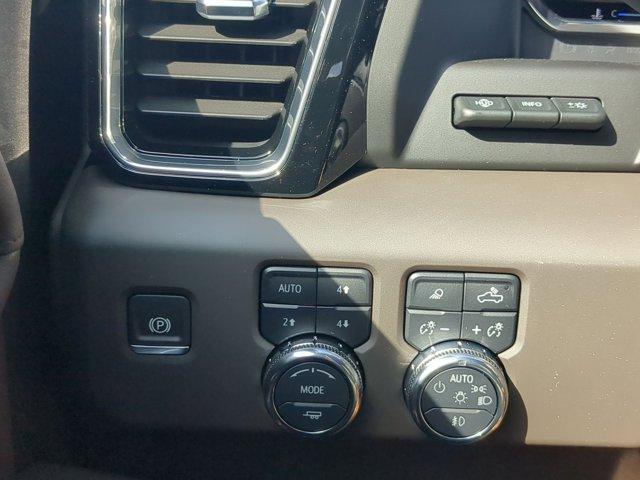 2025 GMC Sierra 1500 Vehicle Photo in ALBERTVILLE, AL 35950-0246