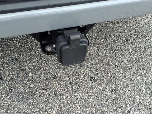 2024 Chevrolet Silverado 1500 Vehicle Photo in EMPORIA, VA 23847-1235