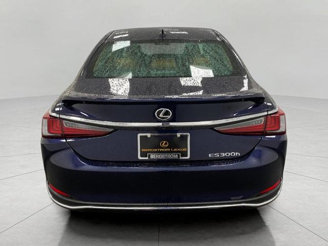 2025 Lexus ES 300h Vehicle Photo in Appleton, WI 54913