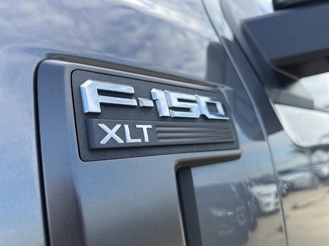 2023 Ford F-150 Vehicle Photo in San Antonio, TX 78230