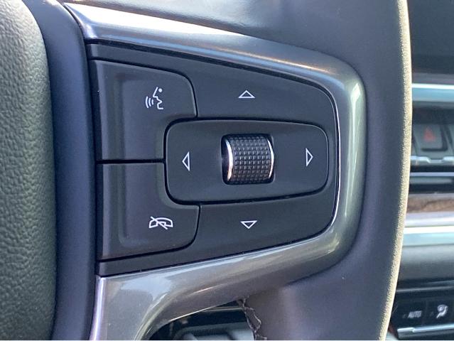2025 Chevrolet Silverado 1500 Vehicle Photo in BEAUFORT, SC 29906-4218