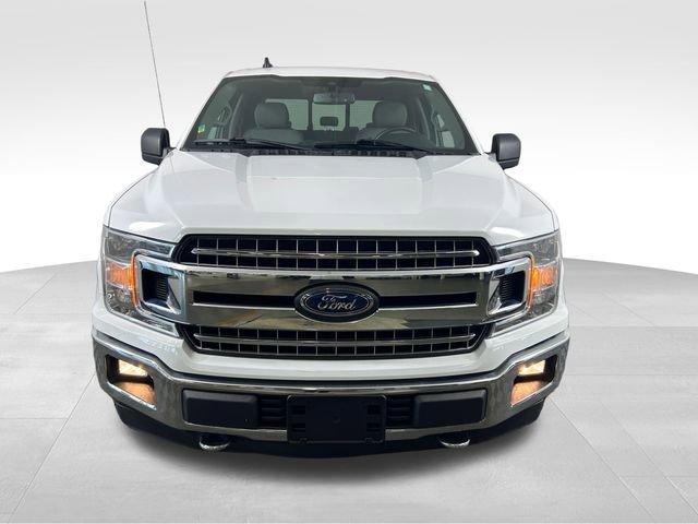 2019 Ford F-150 Vehicle Photo in MEDINA, OH 44256-9631