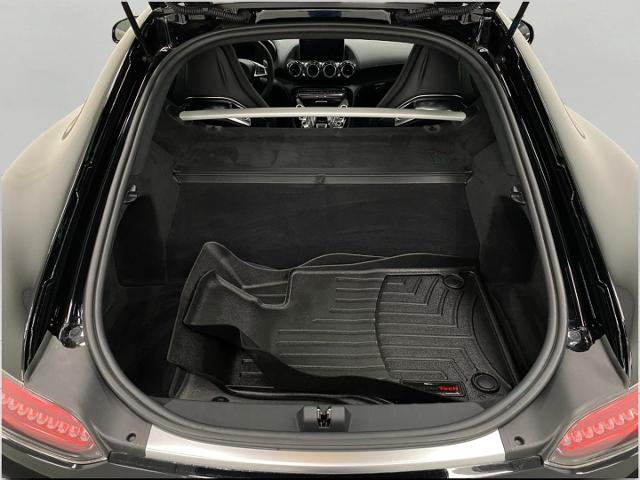 2016 Mercedes-Benz AMG GT Vehicle Photo in Appleton, WI 54913