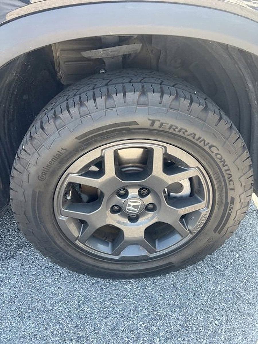 2023 Honda Pilot Vehicle Photo in Harrisburg, PA 17111