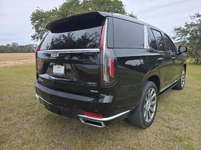 2021 Cadillac Escalade Vehicle Photo in BROUSSARD, LA 70518-0000