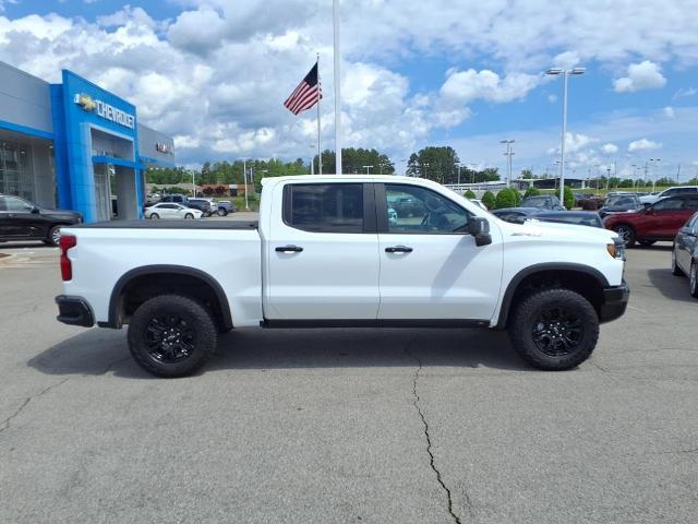 2023 Chevrolet Silverado 1500 Vehicle Photo in HENDERSON, NC 27536-2966
