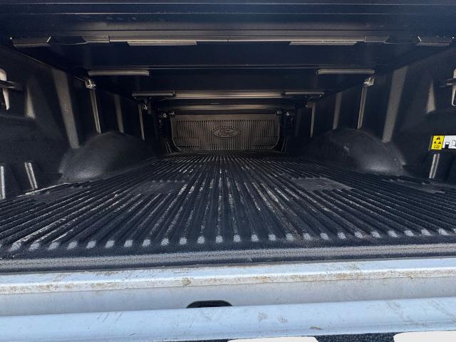 2021 Ford F-150 Vehicle Photo in Savannah, GA 31419