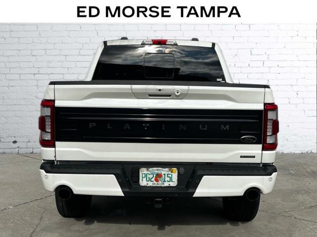 2023 Ford F-150 Vehicle Photo in TAMPA, FL 33612-3404