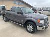 Used 2012 Ford F-150 XLT with VIN 1FTFX1ET8CFA87601 for sale in Lidgerwood, ND