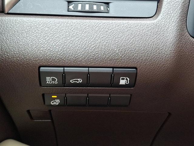 2020 Lexus RX Vehicle Photo in HARRISBURG, PA 17111-1033