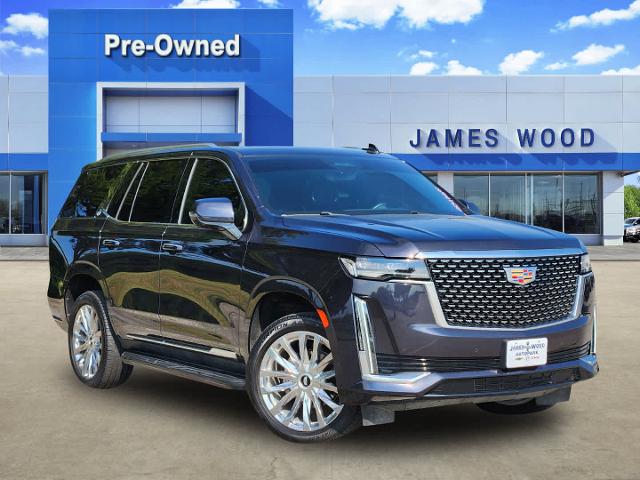 2022 Cadillac Escalade Vehicle Photo in DENTON, TX 76210-9321