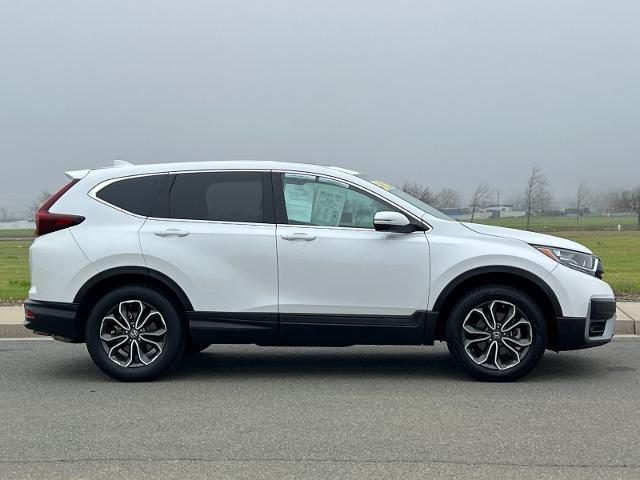 2022 Honda CR-V Vehicle Photo in PITTSBURG, CA 94565-7121