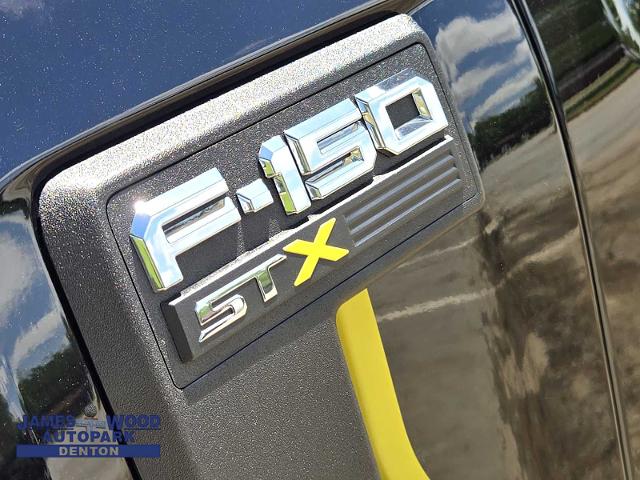 2024 Ford F-150 Vehicle Photo in DENTON, TX 76210-9321