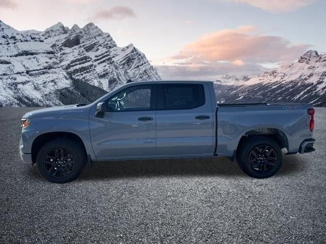 2025 Chevrolet Silverado 1500 Vehicle Photo in Gaffney, SC 29341