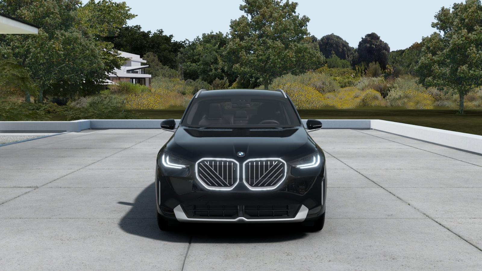 2025 BMW X3 30 xDrive Vehicle Photo in GRAPEVINE, TX 76051