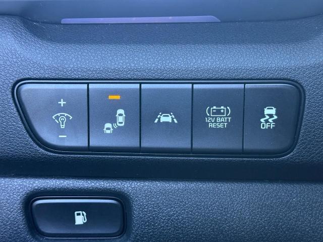 2022 Kia Niro Vehicle Photo in Oshkosh, WI 54904