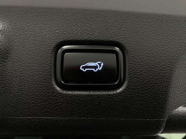 2024 Hyundai PALISADE Vehicle Photo in Appleton, WI 54914