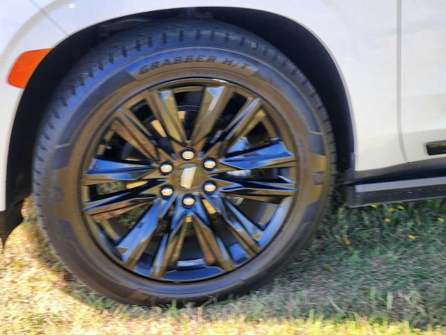 2022 Cadillac Escalade Vehicle Photo in DENTON, TX 76210-9321
