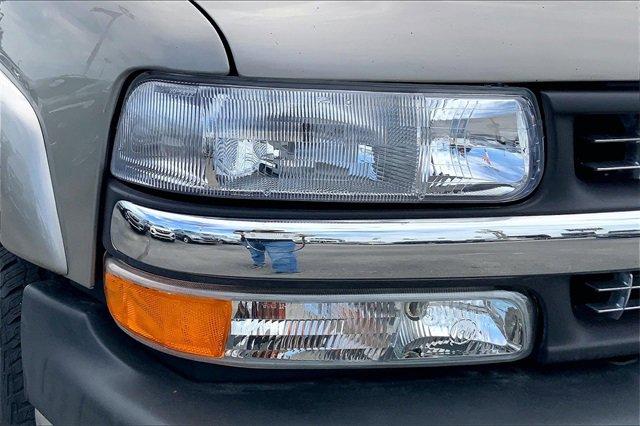 2002 Chevrolet Silverado 1500 Vehicle Photo in INDEPENDENCE, MO 64055-1377