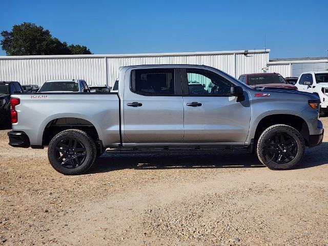 2025 Chevrolet Silverado 1500 Vehicle Photo in PARIS, TX 75460-2116