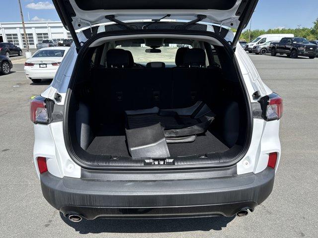 2021 Ford Escape Vehicle Photo in Charlotte, NC 28212