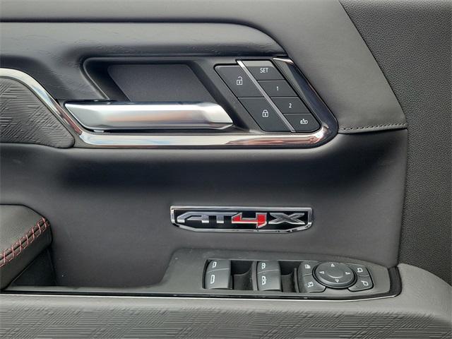 2024 GMC Sierra 1500 Vehicle Photo in LEWES, DE 19958-4935