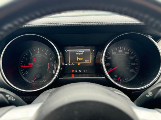 2023 Ford Mustang Vehicle Photo in San Antonio, TX 78230
