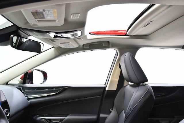 2024 Lexus NX 250 Vehicle Photo in DALLAS, TX 75235