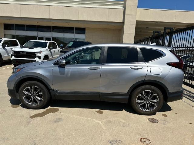 2020 Honda CR-V Vehicle Photo in San Antonio, TX 78230