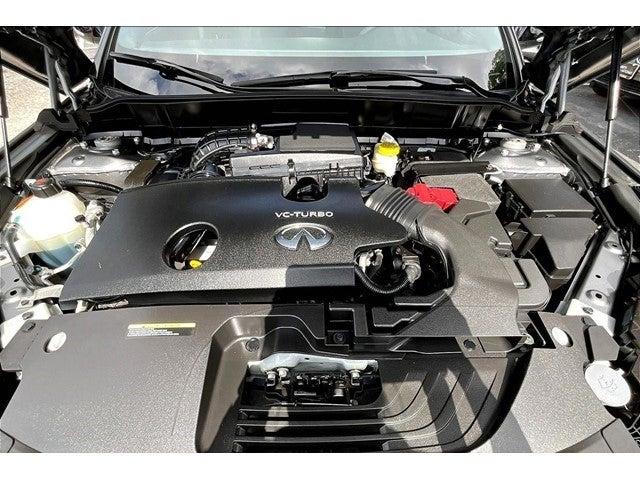 2023 INFINITI QX55 Vehicle Photo in San Antonio, TX 78230